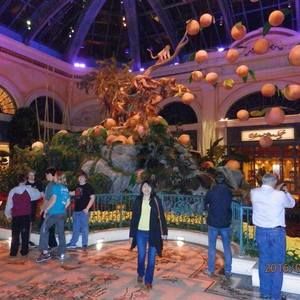 Meet your Posher, Dilmira